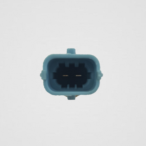 500382599 Case -  800011 Terramar-2