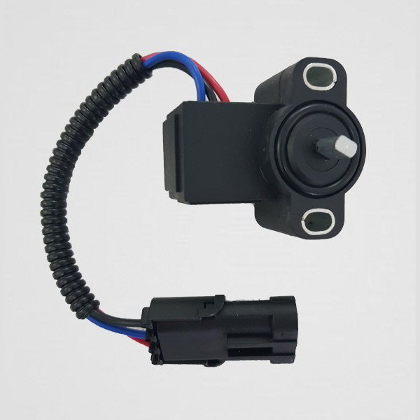 84185452 / 48187565 Case - 800019 Terramar-0