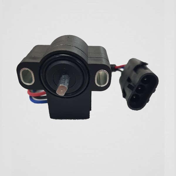 84185452 / 48187565 Case - 800019 Terramar-1