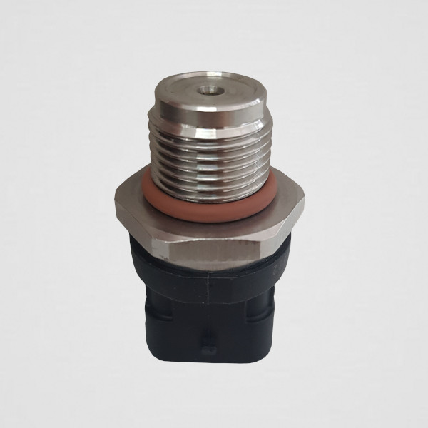 504157020 Case -  800066 Terramar-1