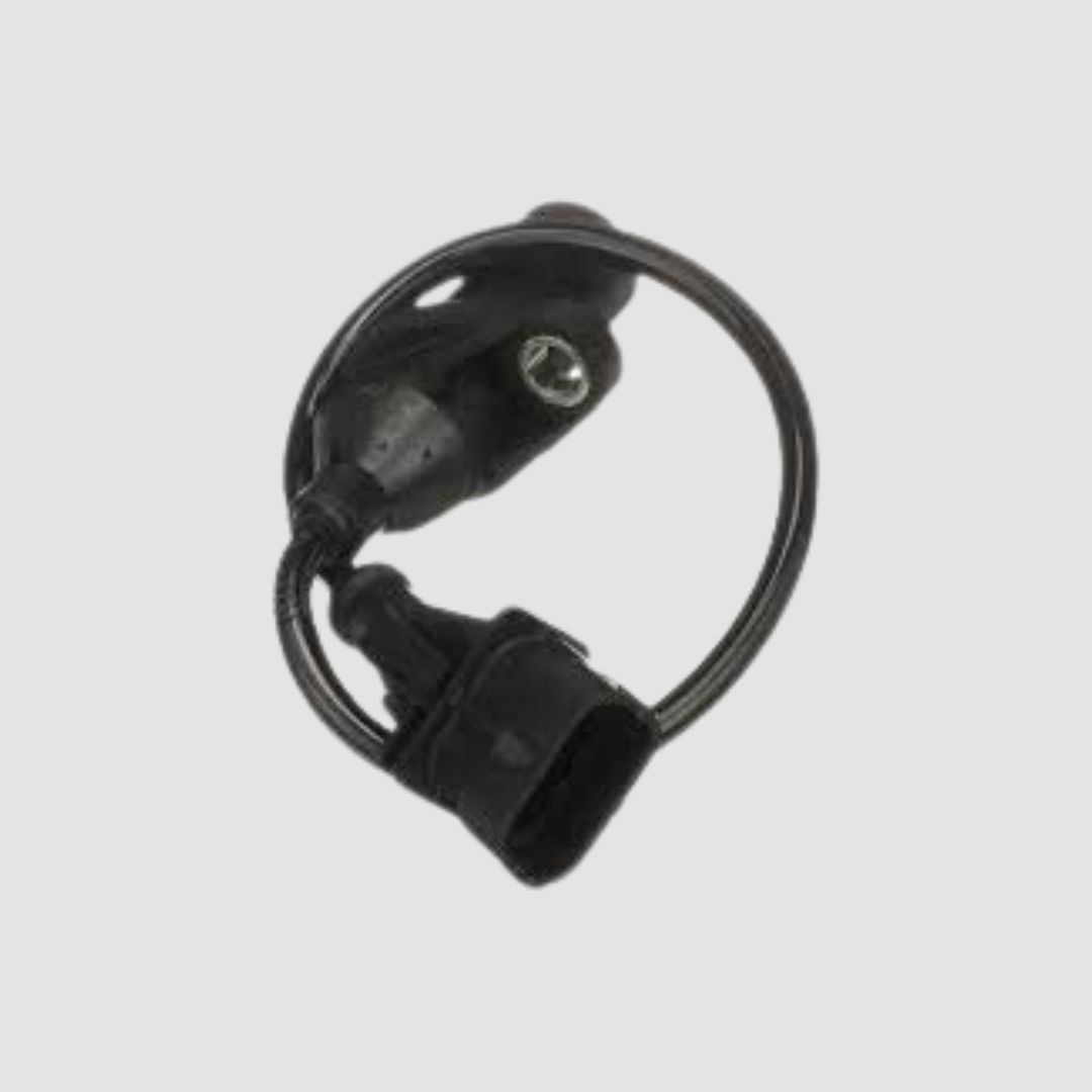 4897242 / 0281002629 CASE – 800276 Terramar-0